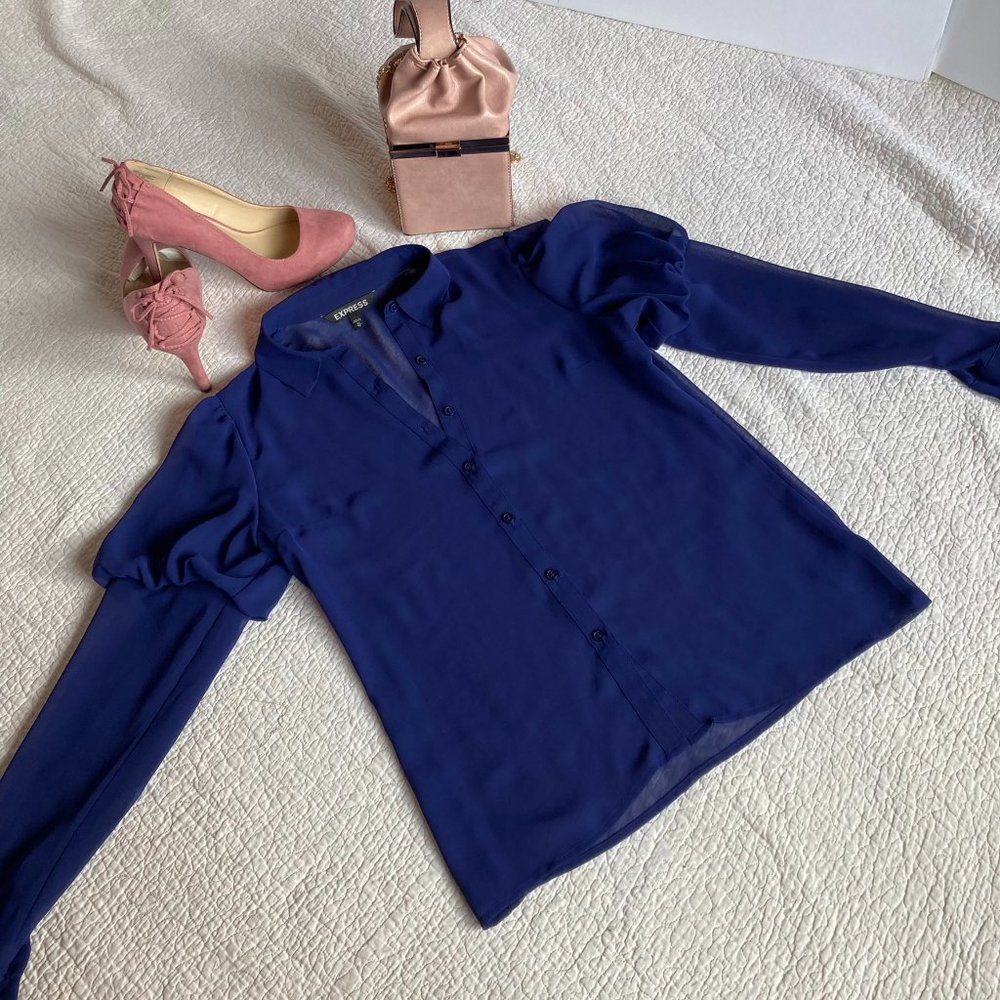 Express Sheer Long Sleeve Blouse with Upper Princess Balloon Sleeve sz XS